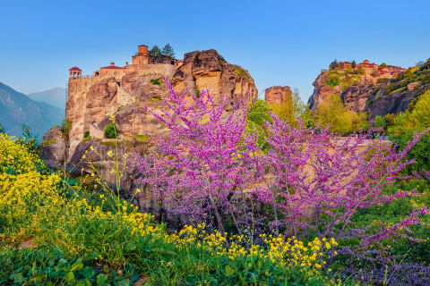 Spring blossoms near the monasteries in Meteora, Greece