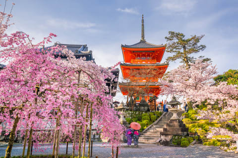 Koyasu Pagoda with spring cherry blossoms at Kiyomizu dera Temple in Kyoto, Japan