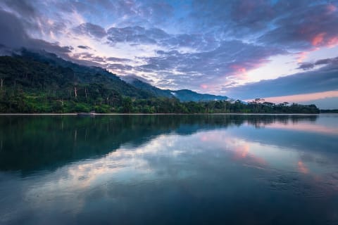 Manu National Park in the Peruvian Amazon