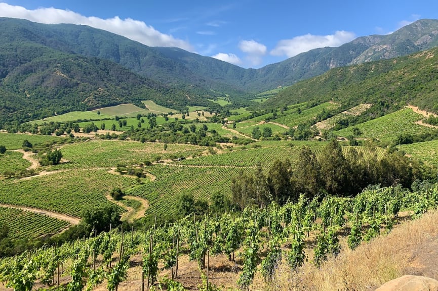  Colchagua Valley, Chile