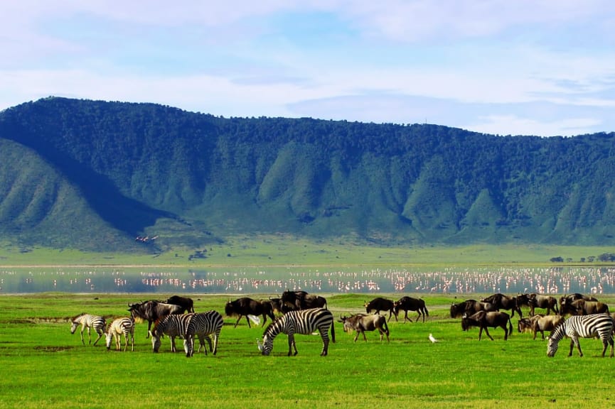 Ngorongoro Conservation Area, Tanzania