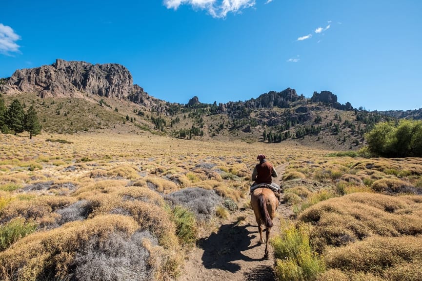 Gaucho horseback riding through the Argentinian grasslands