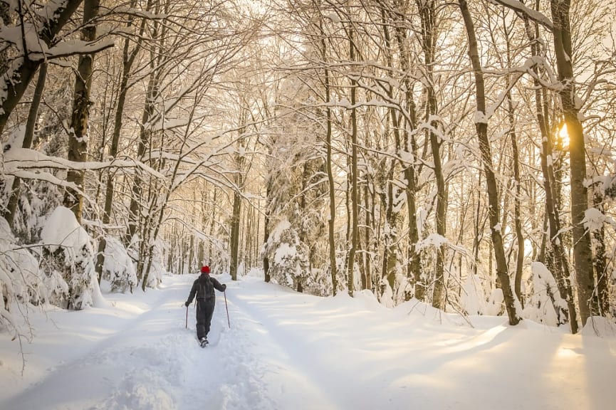 Man snowshoeing through snow covered trees