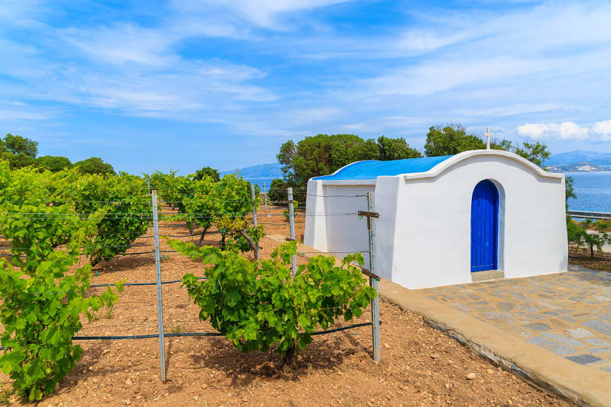 Vineyard in Santorini, Greece