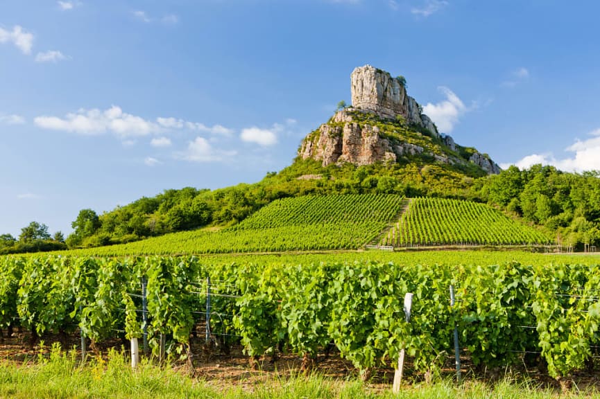 Vineyards around Solutre Rock in Burgundy, France