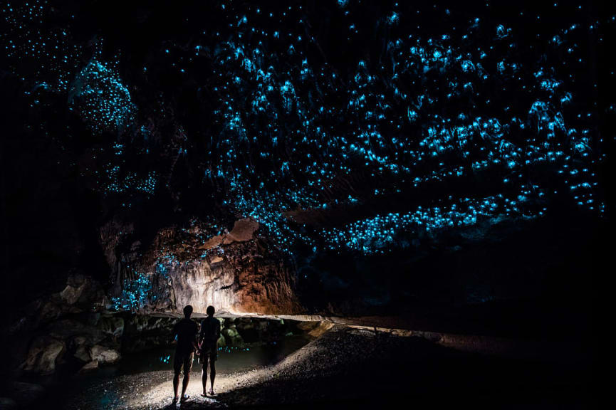 Waitomo Cave, New Zealand