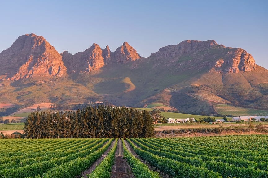 Cape Winelands in Stellenbosch, South Africa