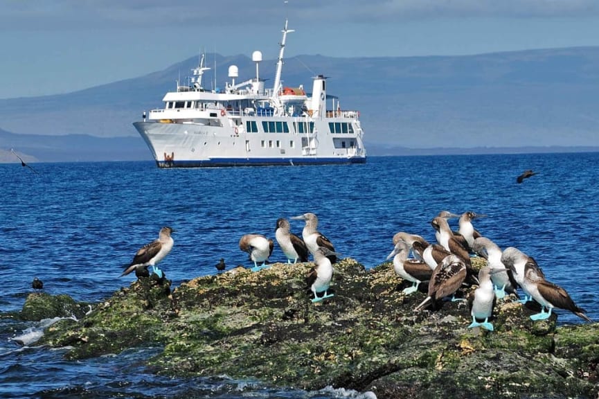 Yacht Isabella II Yacht Cruise in the Galapagos Islands