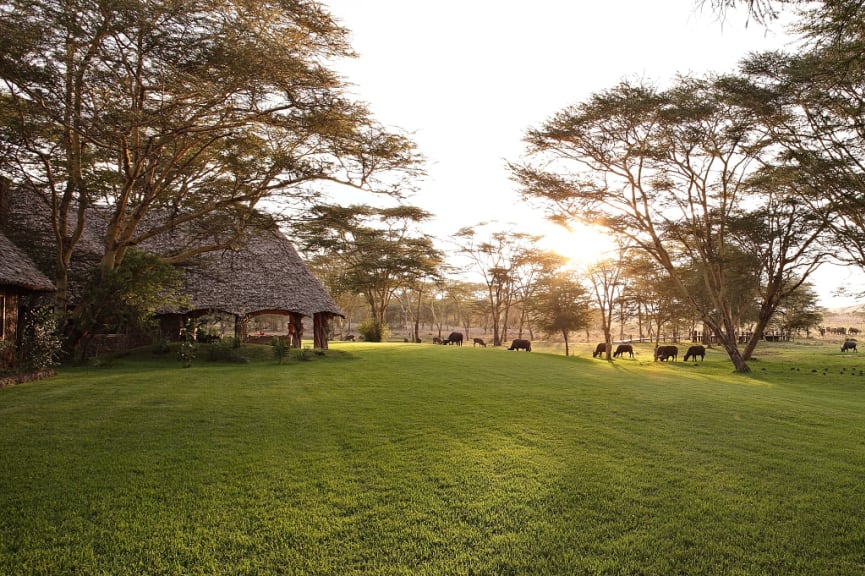 Sirikoi House in Lewa Wildlife Conservancy, Kenya.