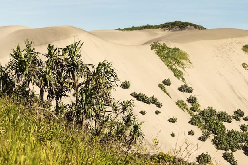  Sigatoka Sand Dunes in Fiji