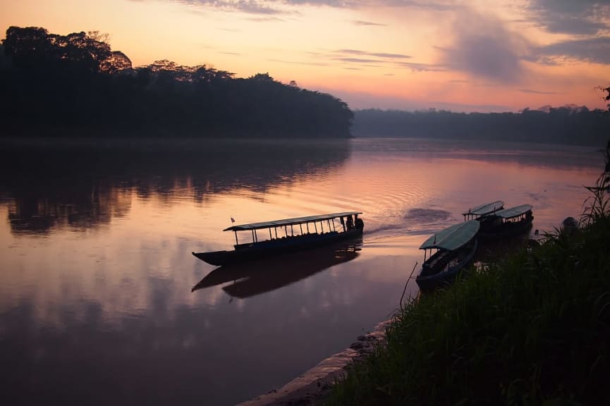 Tambopata National Reserve, Peru