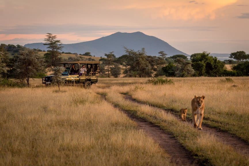 Safari game drive in Serengeti National Park, Tanzania