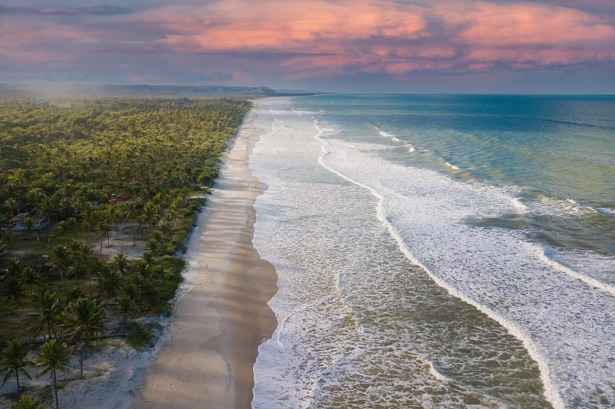 Deserted beach with coconut trees in Ilhéus on the coast of Bahia Brazil