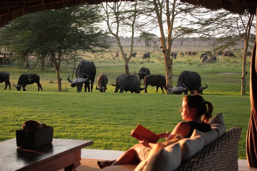 Game viewing from viranda at Sirkoi House in Kenya