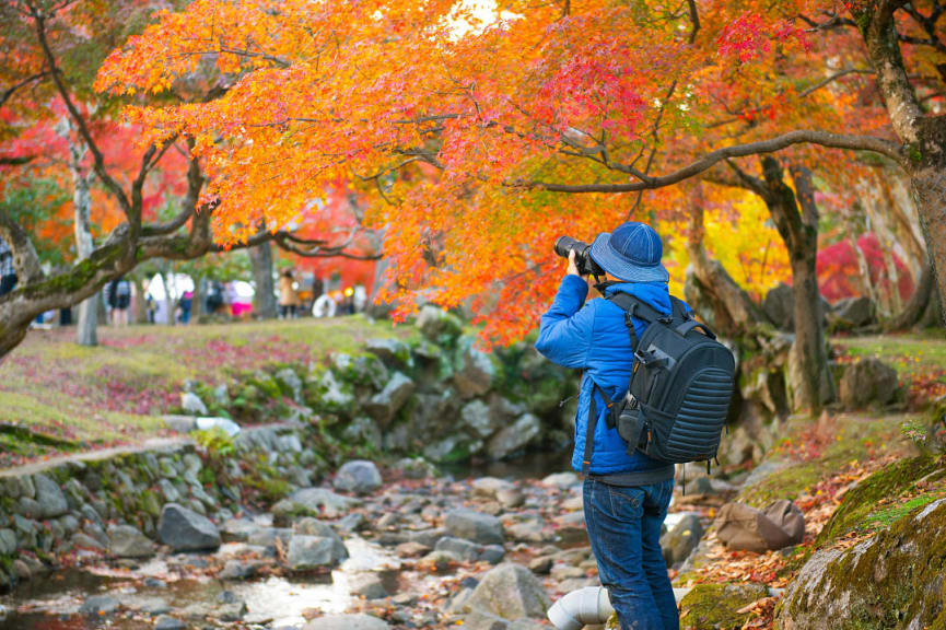 Nara Park, Nara, Japan