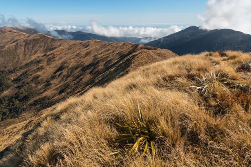 Landscape of Paparoa Track in New Zealand