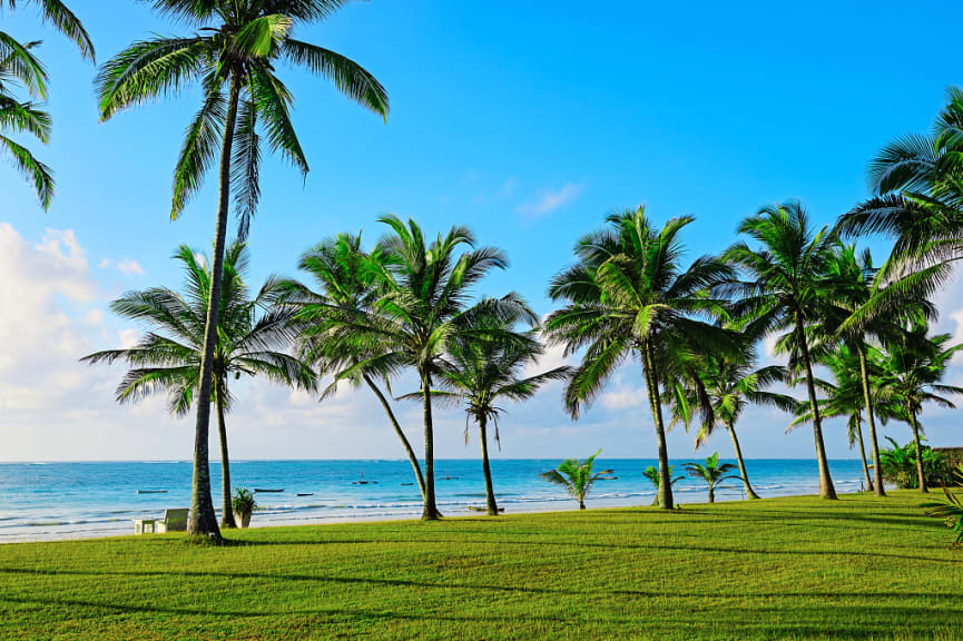 Tropical coast of Diani, Kenya