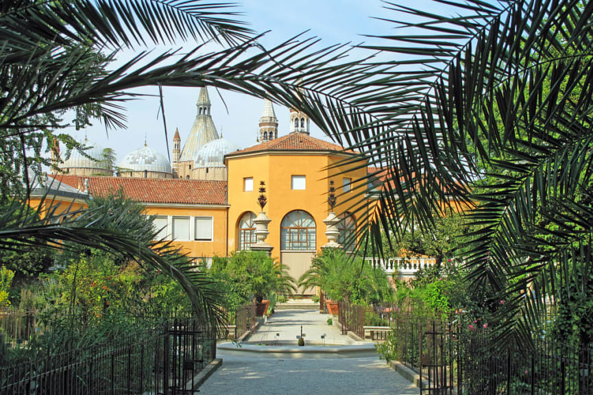 Botanical Garden of Padua