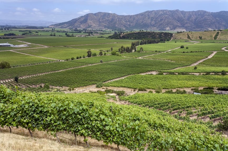 Vineyards surrounded by mountains in Colchagua Valley, Chile