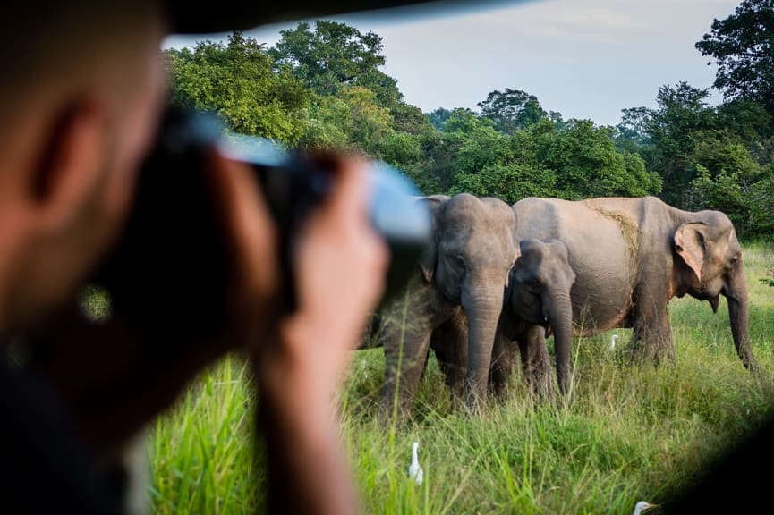 Yala National Park, Sri Lanka