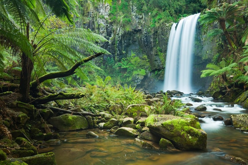 Hopetoun Falls at Great Otway National Park in Victoria, Australia