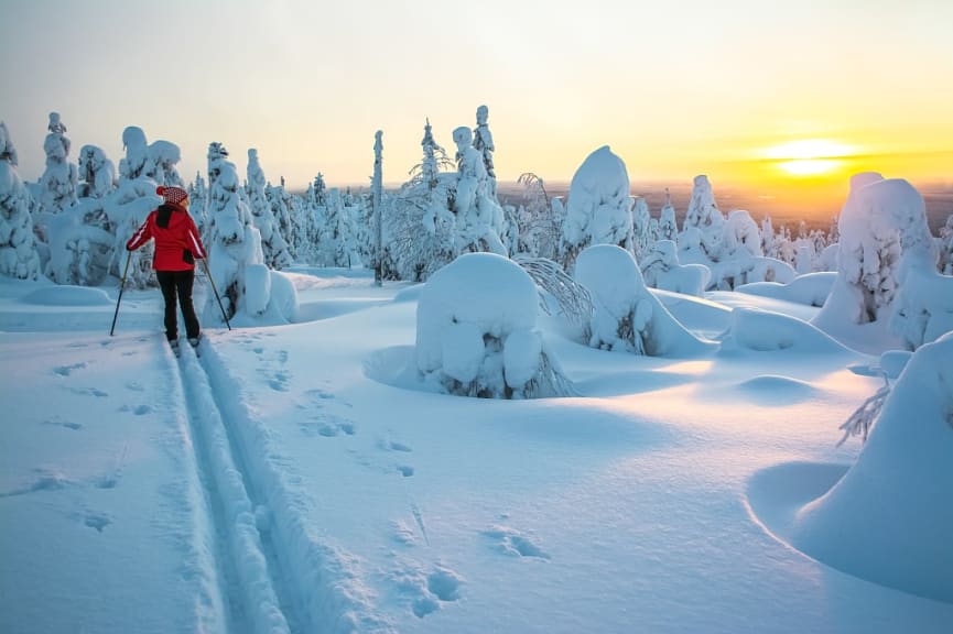 Skiing in Lapland, Finland