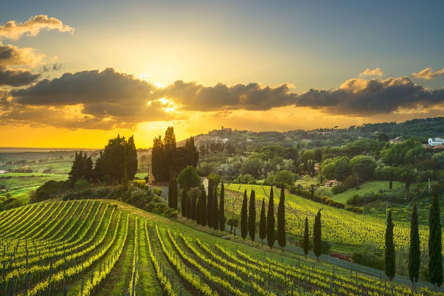 Vineyards in Tuscany