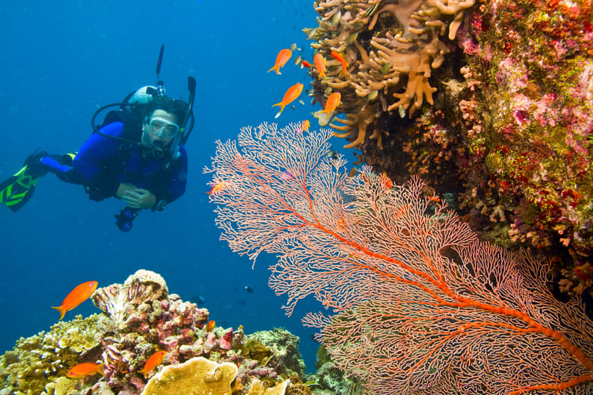 Scuba diver in Australia