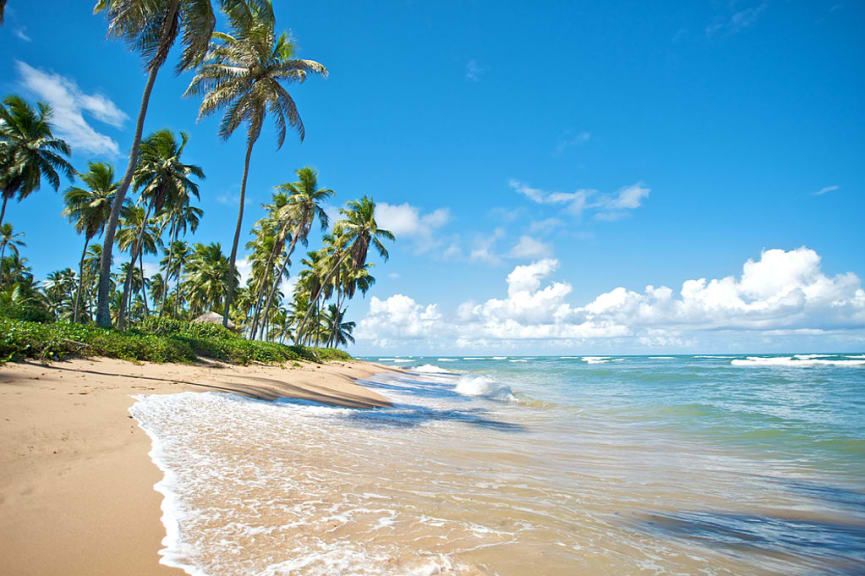 Praia do Forte in Salvador de Bahia, Brazil