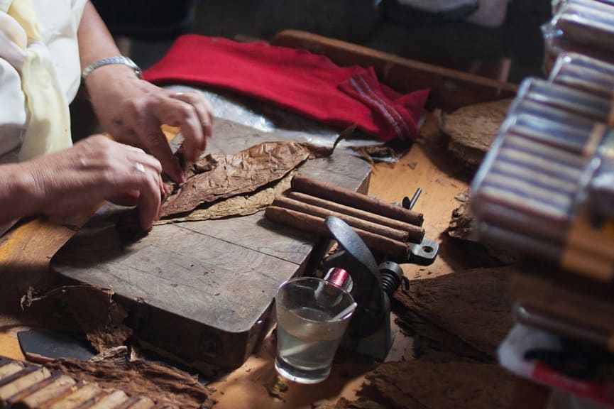 Woman works on traditional manufacture of cigars at the Cuban tobacco factory