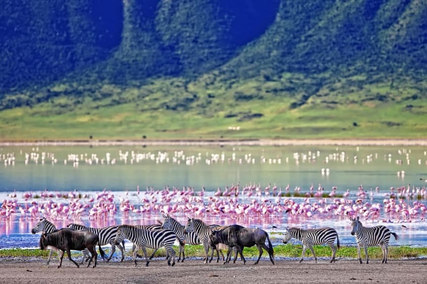 Wildlife in Ngorongoro Crater, Tanzania 