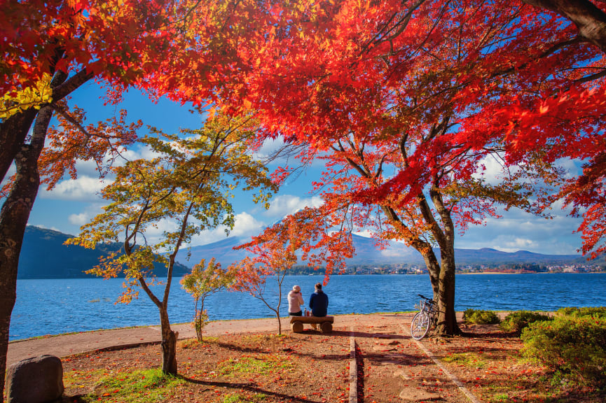 Couple at Lake Kawaguchiko surrounded by autumn foliage with Mt Fuji in the distance