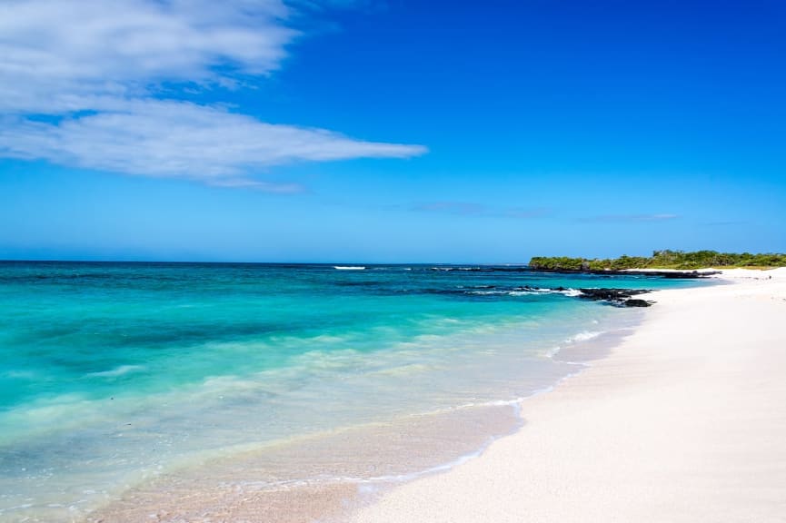 Santa Cruz Island in the Galapagos, Ecuador