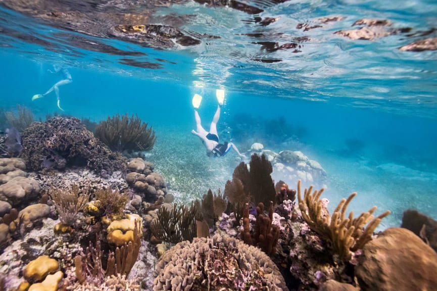 Snorkeling in the azure waters of the Caribbean Sea, Belize