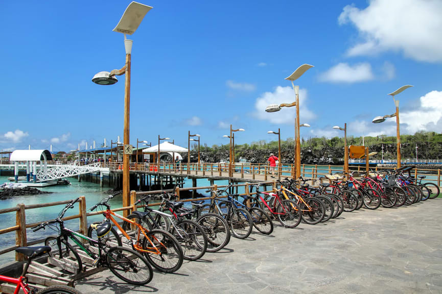 Bikes parked at the pier on Santa Cruz Island, Galapagos