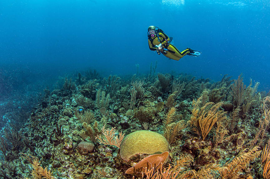 Diving, Great Blue Hole