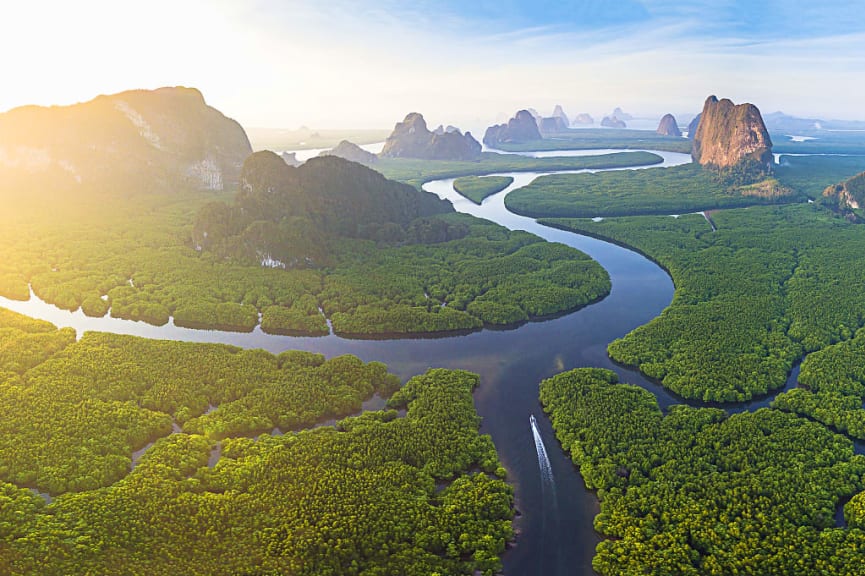 Sea waters winding through miles of mangroves and limestone karsts in Phang Na Bay, Thailand