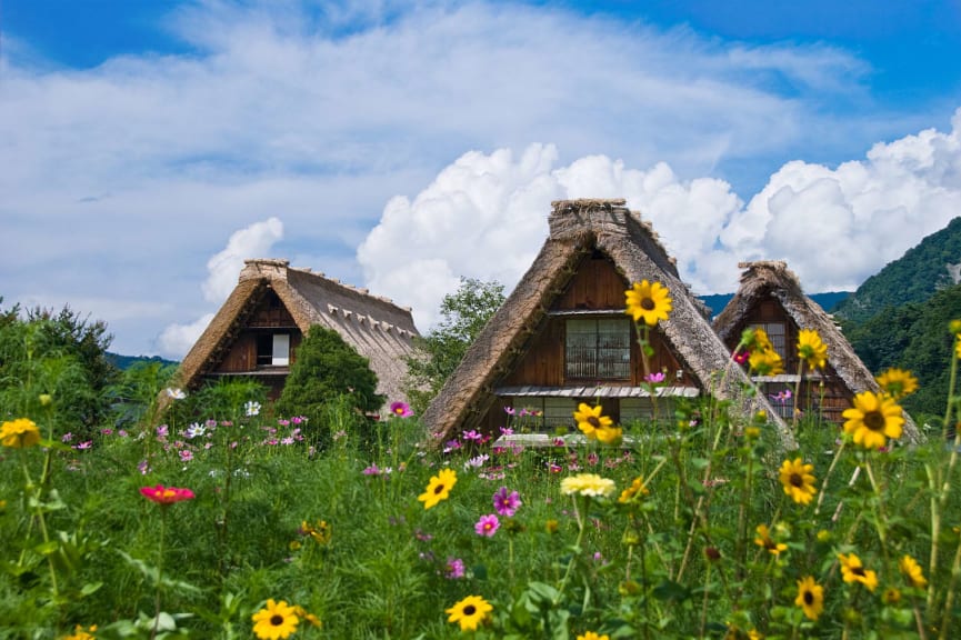 Traditional houses in Shirakawa-go, Japan