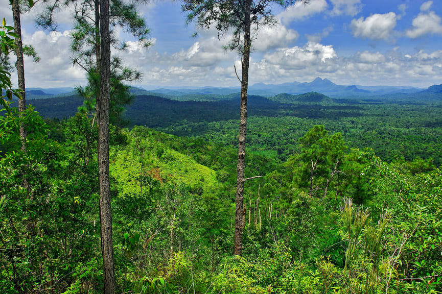 Cockscomb Basin Wildlife Sanctuary and Jaguar Preserve in Belize