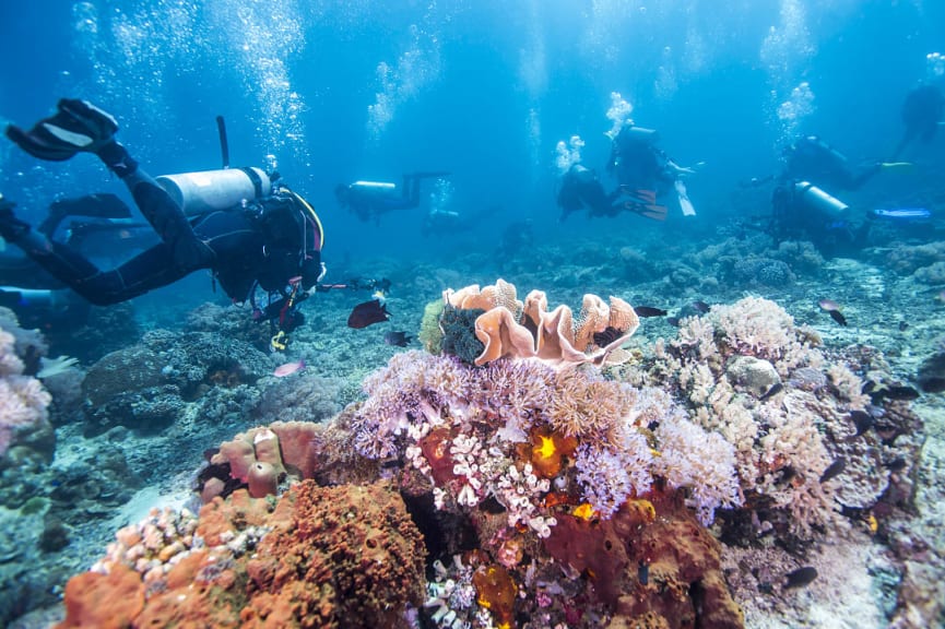 Tourists scuba diving in Fiji