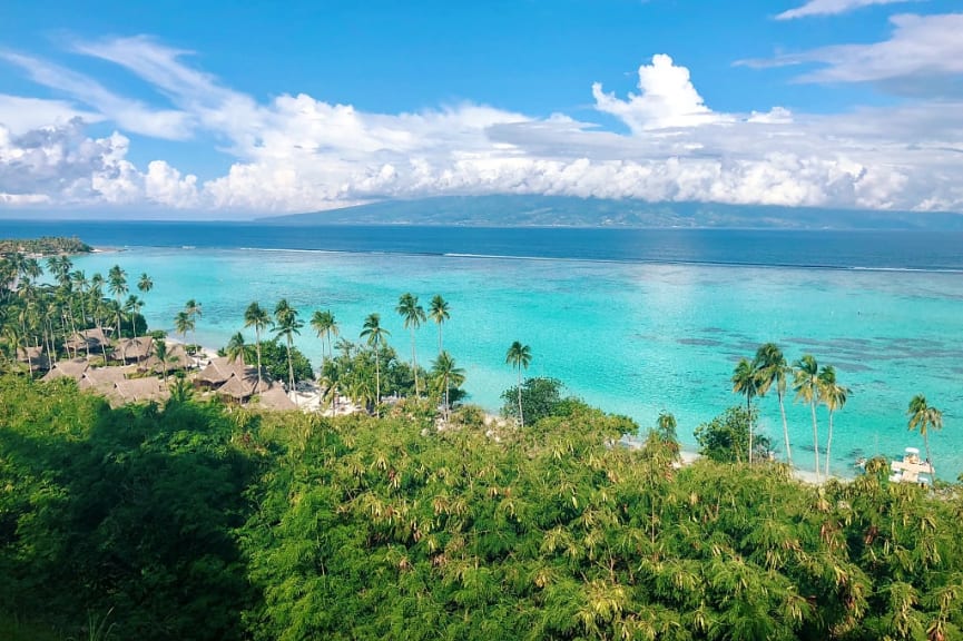 Ocean front resort bungalows at the jungle's edge in Moorea, French Polynesia