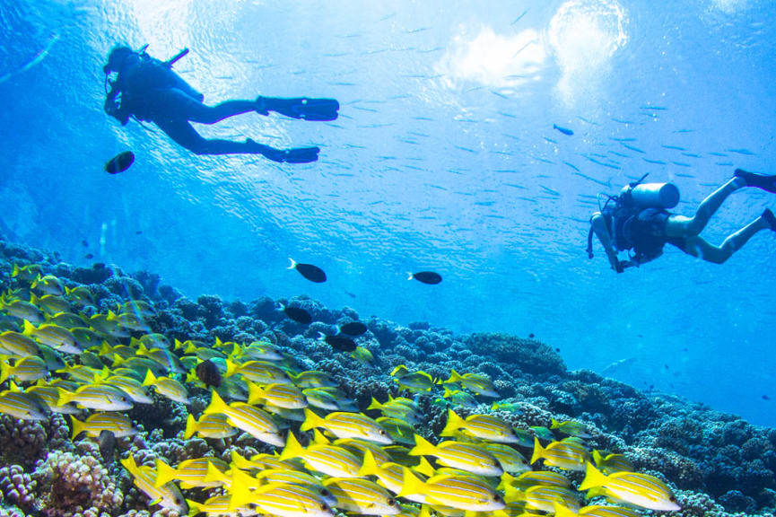 Scuba divers in French Polynesia