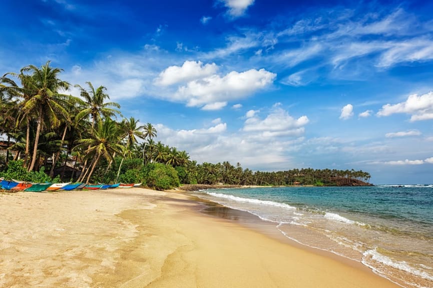 Sunny Mirissa Beach in Sri Lanka