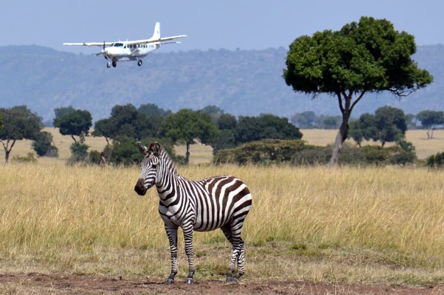 Plane landing in Botswana