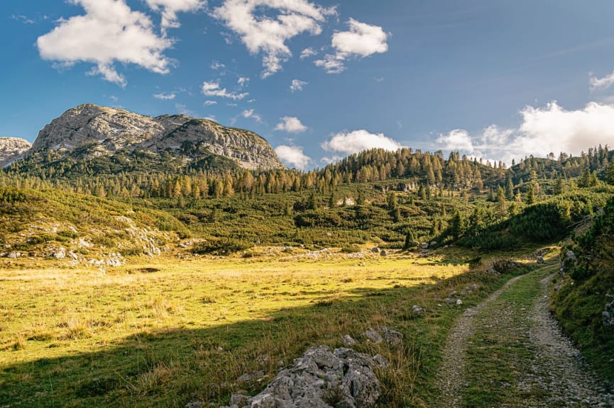 Trail through meadow of Piani Eterni with rocky mountain landscape and fir trees in Dolomiti Bellunesi National Park, Italy