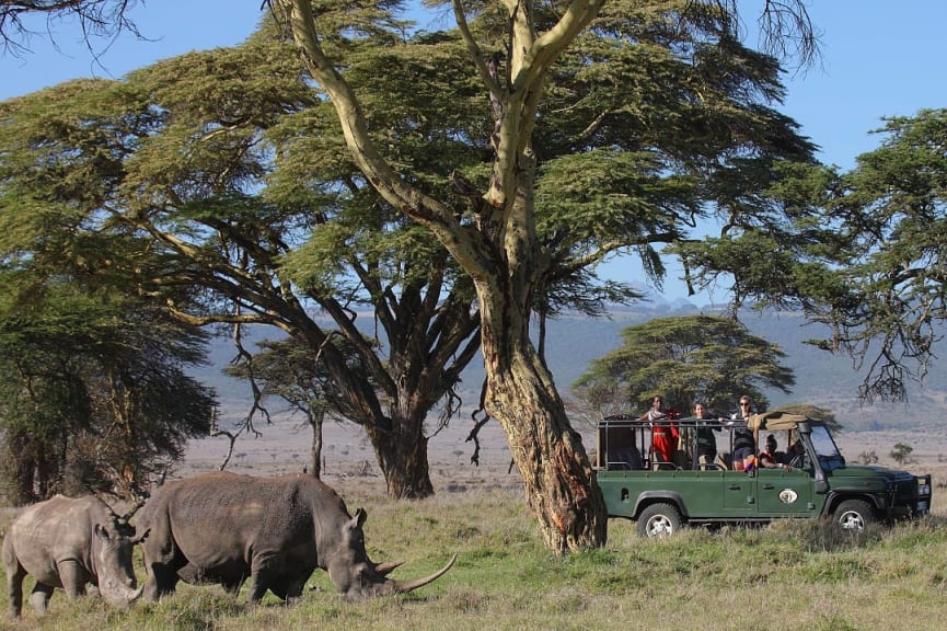 Sirikoi game dive at Lewa Conservancy, Kenya