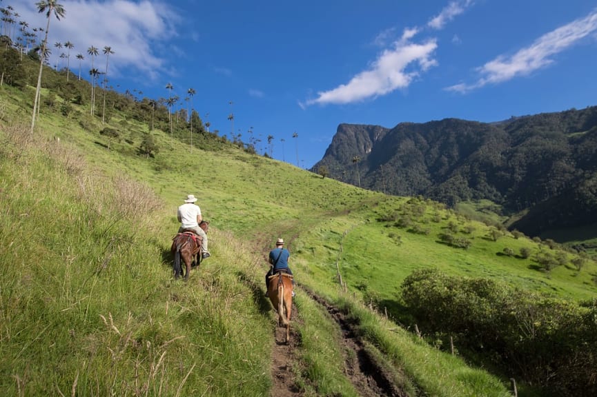 Horseback riding in Cocora Valley, Colombia