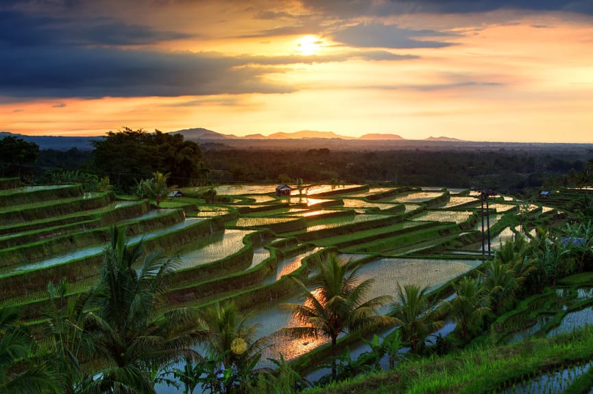 Rice paddy terraces of Jatiluwih Valley in Bali