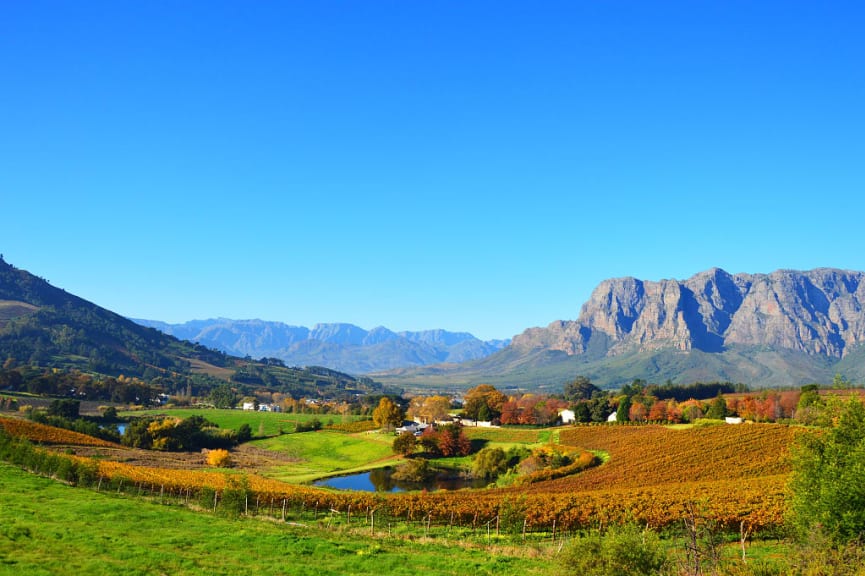 Cape Winelands, South Africa