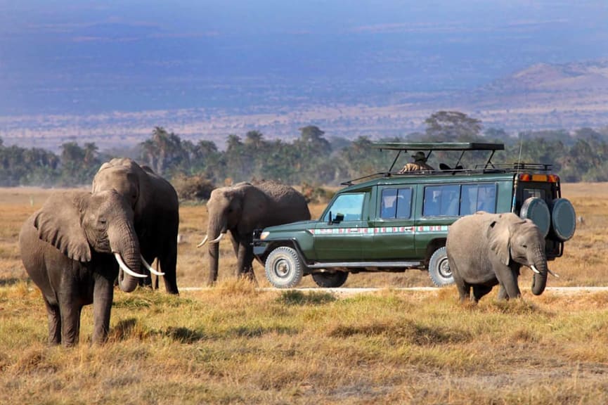 Safari game drive in Maasai Mara National Reserve, Kenya.